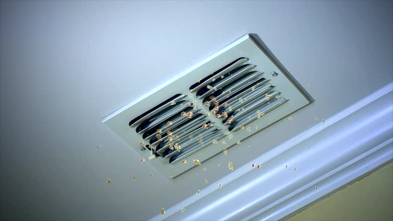 Best HVAC Duct Inspection Services  in Belzoni, MS